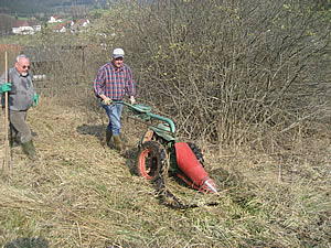 Pflege von Naturdenkmälern (Biotopen)